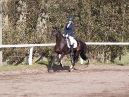 IMG_7808_web